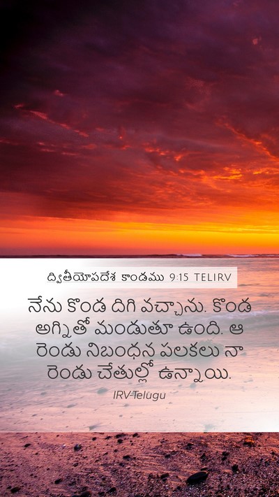 ద్వితీయోపదేశ కాండము 9:15 TELIRV Bible Verse Image