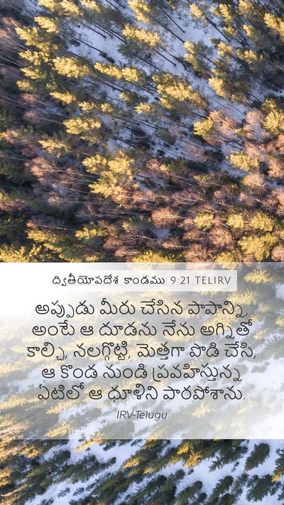 ద్వితీయోపదేశ కాండము 9:21 TELIRV Bible Verse Image