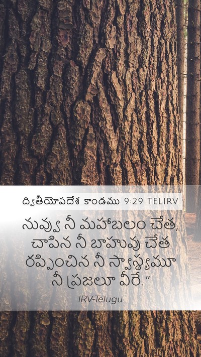 ద్వితీయోపదేశ కాండము 9:29 TELIRV Bible Verse Image