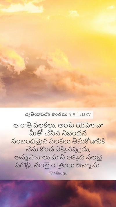 ద్వితీయోపదేశ కాండము 9:9 TELIRV Bible Verse Image
