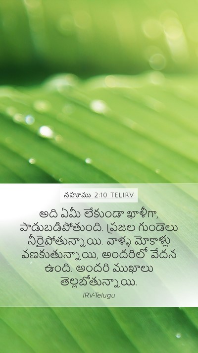 నహూము 2:10 TELIRV Bible Verse Image