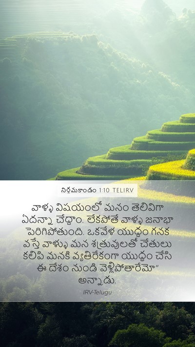 నిర్గమకాండం 1:10 TELIRV Bible Verse Image