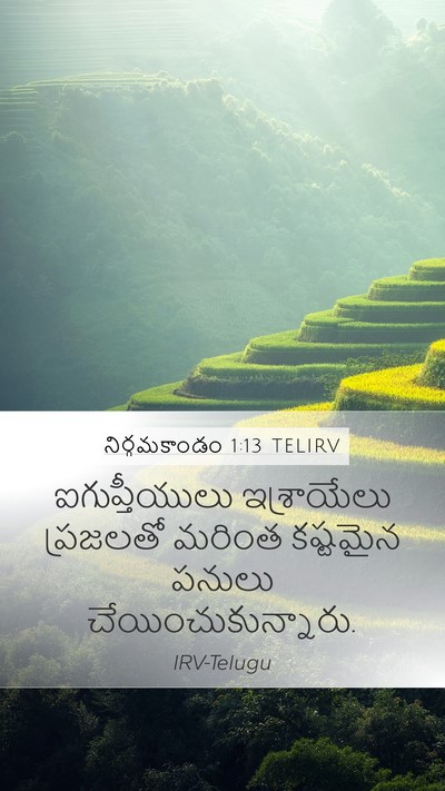 నిర్గమకాండం 1:13 TELIRV Bible Verse Image