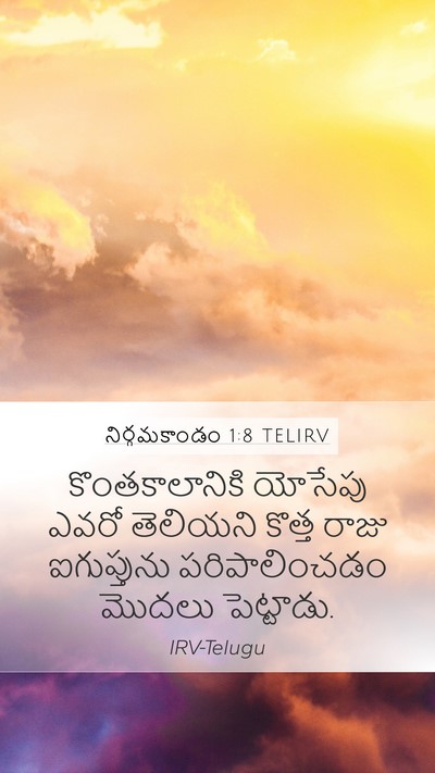 నిర్గమకాండం 1:8 TELIRV Bible Verse Image