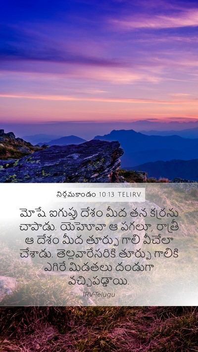 నిర్గమకాండం 10:13 TELIRV Bible Verse Image