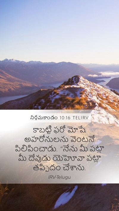 నిర్గమకాండం 10:16 TELIRV Bible Verse Image