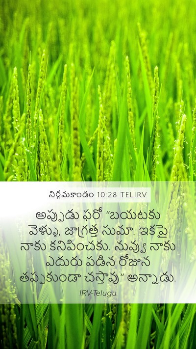 నిర్గమకాండం 10:28 TELIRV Bible Verse Image