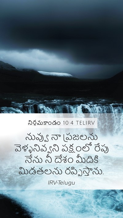 నిర్గమకాండం 10:4 TELIRV Bible Verse Image