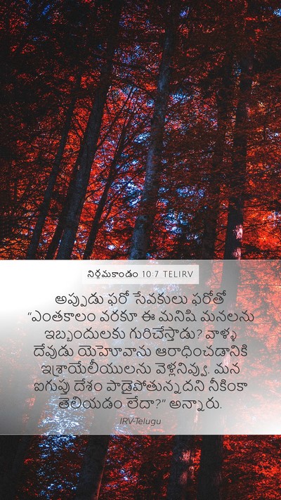 నిర్గమకాండం 10:7 TELIRV Bible Verse Image