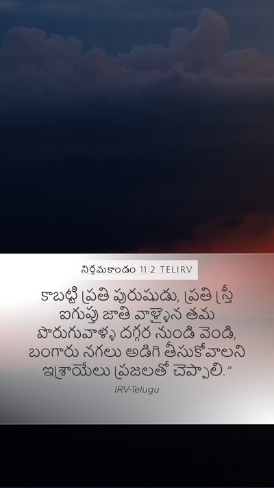 నిర్గమకాండం 11:2 TELIRV Bible Verse Image