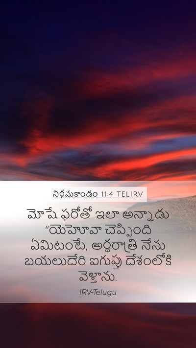 నిర్గమకాండం 11:4 TELIRV Bible Verse Image