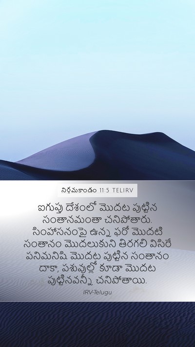 నిర్గమకాండం 11:5 TELIRV Bible Verse Image