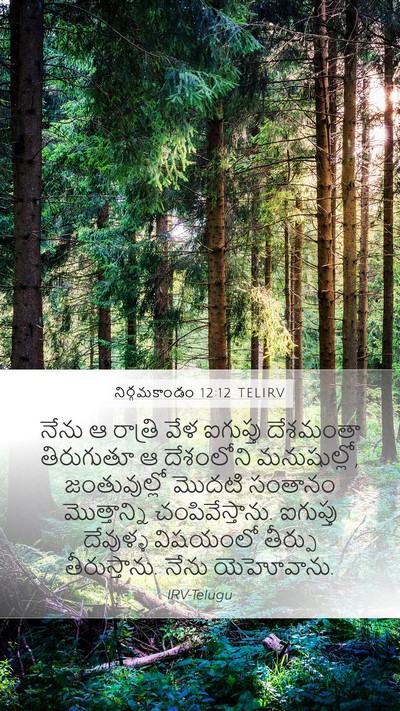 నిర్గమకాండం 12:12 TELIRV Bible Verse Image