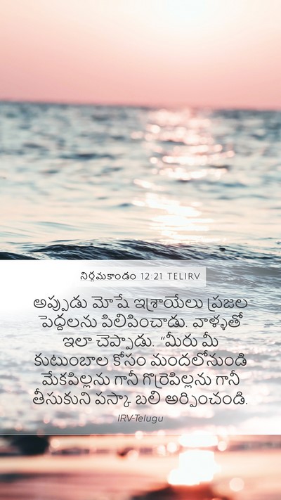 నిర్గమకాండం 12:21 TELIRV Bible Verse Image