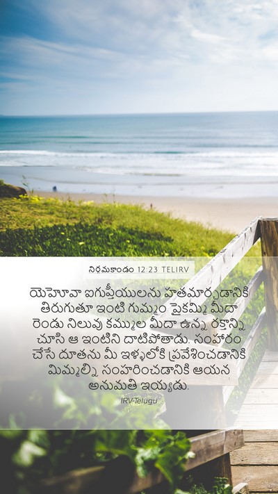 నిర్గమకాండం 12:23 TELIRV Bible Verse Image