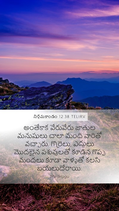 నిర్గమకాండం 12:38 TELIRV Bible Verse Image