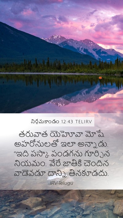 నిర్గమకాండం 12:43 TELIRV Bible Verse Image