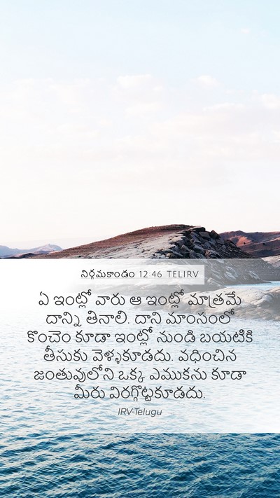 నిర్గమకాండం 12:46 TELIRV Bible Verse Image