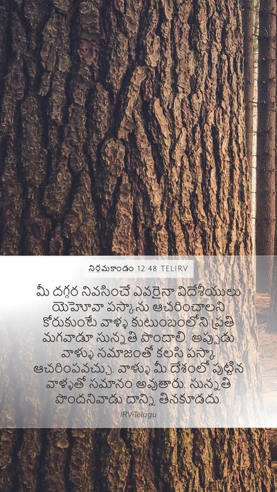 నిర్గమకాండం 12:48 TELIRV Bible Verse Image