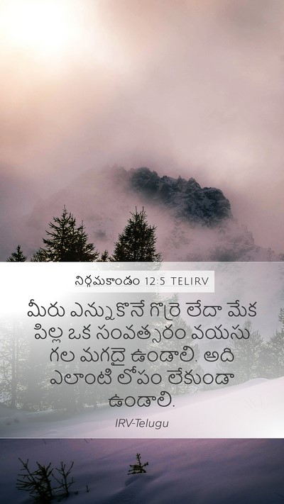 నిర్గమకాండం 12:5 TELIRV Bible Verse Image