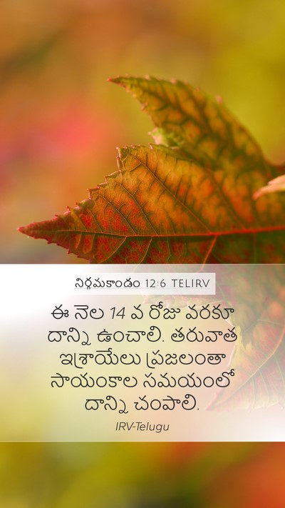 నిర్గమకాండం 12:6 TELIRV Bible Verse Image