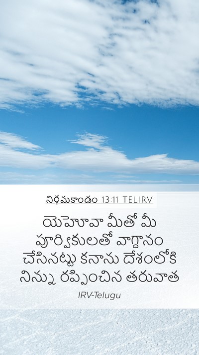 నిర్గమకాండం 13:11 TELIRV Mobile Phone Wallpaper - యెహోవా మీతో మీ - Mobile Bible Verse Wallpaper