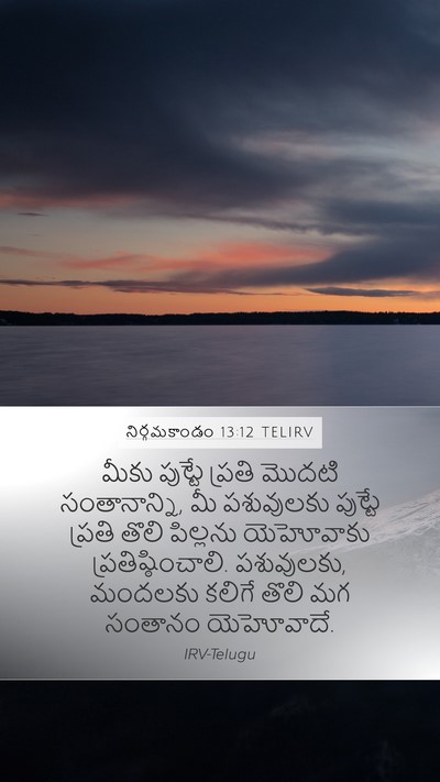 నిర్గమకాండం 13:12 TELIRV Bible Verse Image