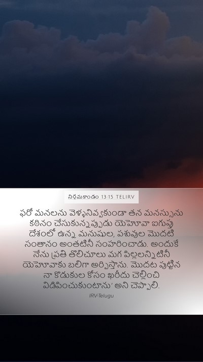 నిర్గమకాండం 13:15 TELIRV Bible Verse Image