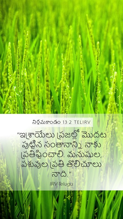 నిర్గమకాండం 13:2 TELIRV Bible Verse Image