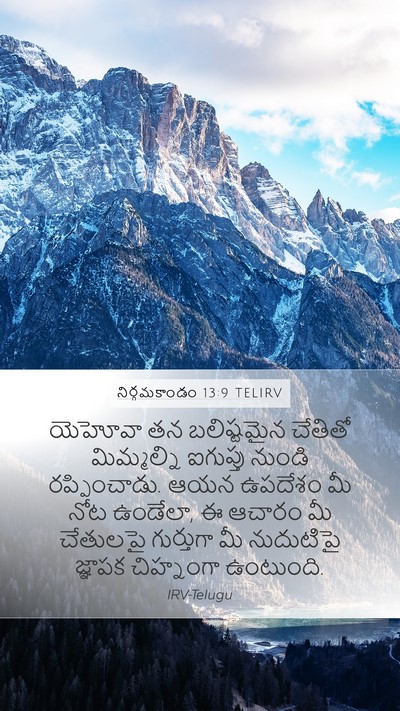 నిర్గమకాండం 13:9 TELIRV Bible Verse Image