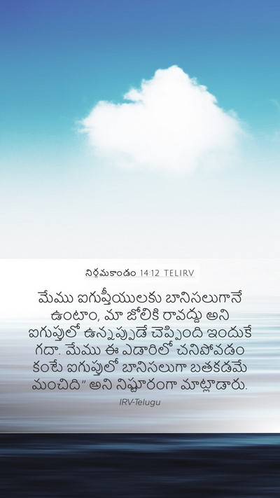 నిర్గమకాండం 14:12 TELIRV Bible Verse Image