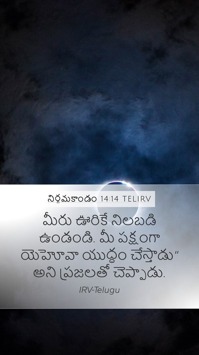 నిర్గమకాండం 14:14 TELIRV Bible Verse Image