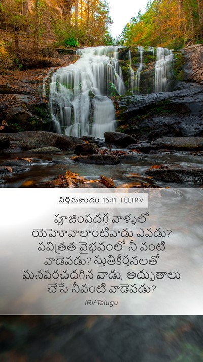 నిర్గమకాండం 15:11 TELIRV Bible Verse Image
