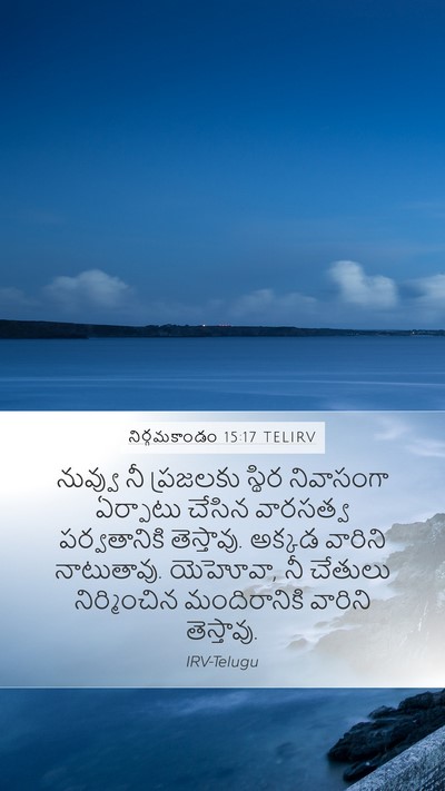 నిర్గమకాండం 15:17 TELIRV Bible Verse Image