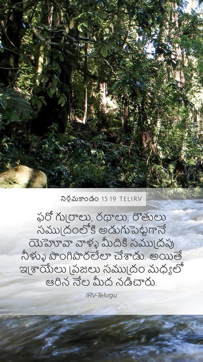 నిర్గమకాండం 15:19 TELIRV Bible Verse Image
