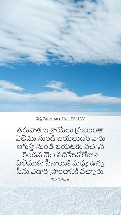 నిర్గమకాండం 16:1 TELIRV Bible Verse Image