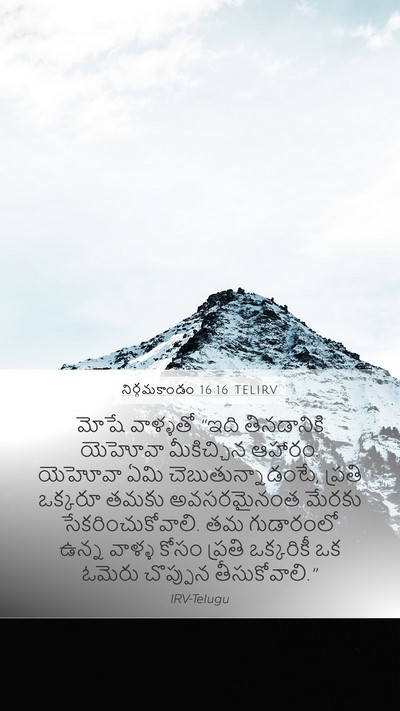 నిర్గమకాండం 16:16 TELIRV Bible Verse Image