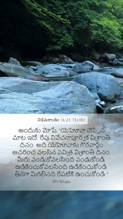 నిర్గమకాండం 16:23 TELIRV Bible Verse Image