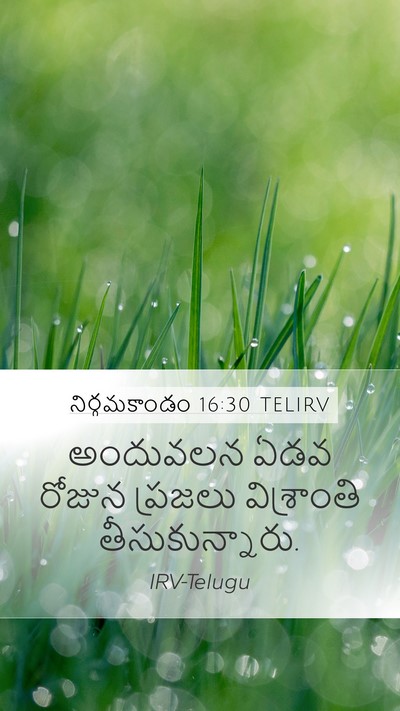 నిర్గమకాండం 16:30 TELIRV Mobile Phone Wallpaper - అందువలన ఏడవ రోజున - Mobile Bible Verse Wallpaper