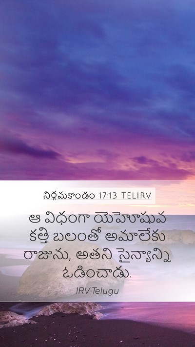 నిర్గమకాండం 17:13 TELIRV Mobile Phone Wallpaper - ఆ విధంగా యెహోషువ - Mobile Bible Verse Wallpaper