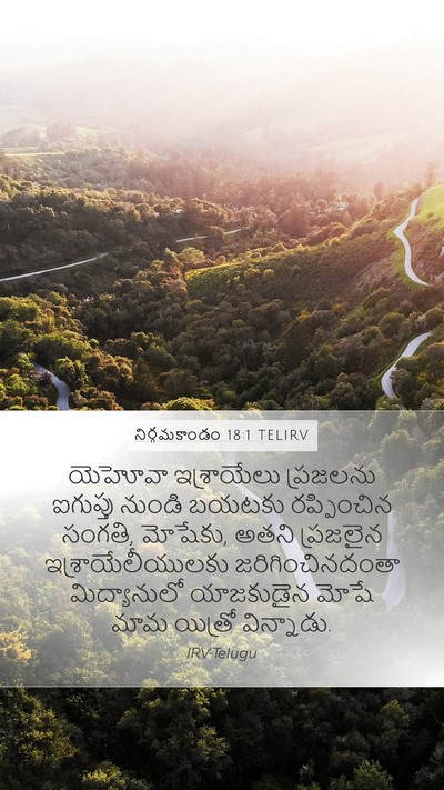నిర్గమకాండం 18:1 TELIRV Bible Verse Image