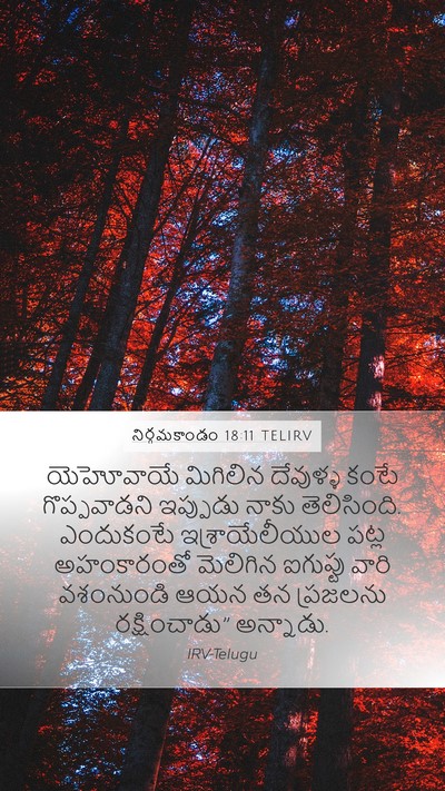 నిర్గమకాండం 18:11 TELIRV Bible Verse Image