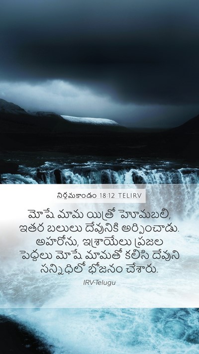 నిర్గమకాండం 18:12 TELIRV Bible Verse Image