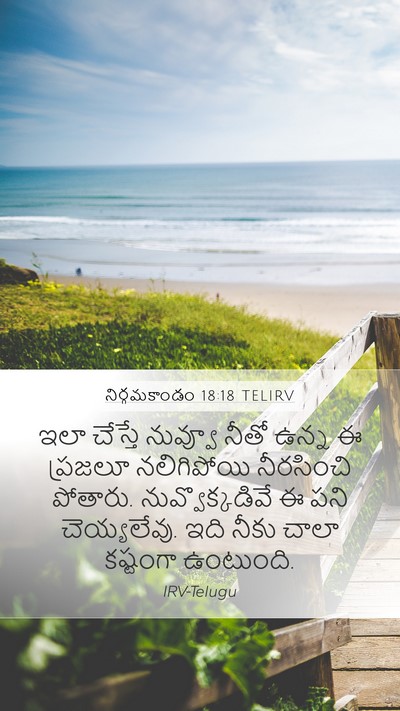 నిర్గమకాండం 18:18 TELIRV Bible Verse Image