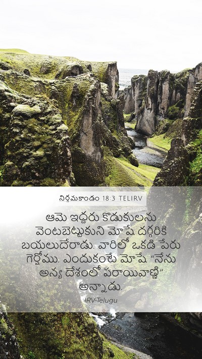 నిర్గమకాండం 18:3 TELIRV Bible Verse Image