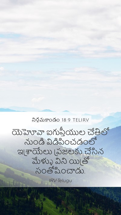 నిర్గమకాండం 18:9 TELIRV Bible Verse Image
