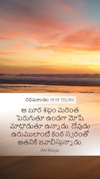 నిర్గమకాండం 19:19 TELIRV Bible Verse Image