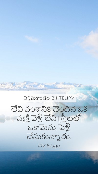 నిర్గమకాండం 2:1 TELIRV Bible Verse Image