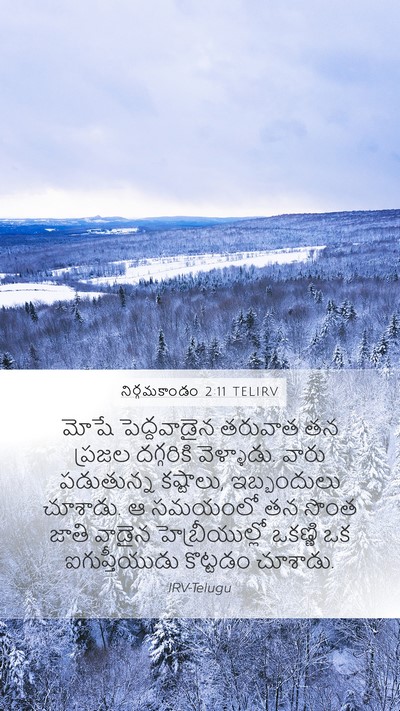 నిర్గమకాండం 2:11 TELIRV Bible Verse Image