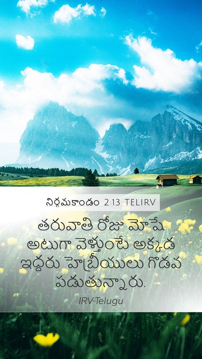 నిర్గమకాండం 2:13 TELIRV Bible Verse Image